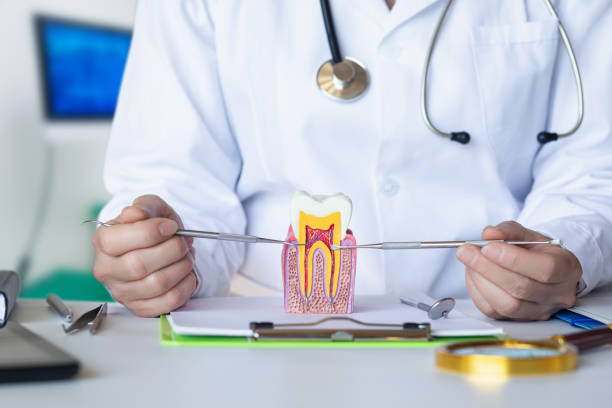 Best After-Hours Emergency Dentist in Palmyra, IN